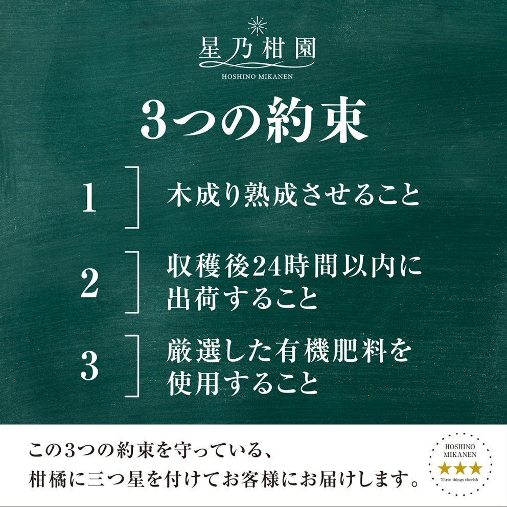 星乃せとか【木成り完熟みかん/サイズ混合/訳あり】3kg