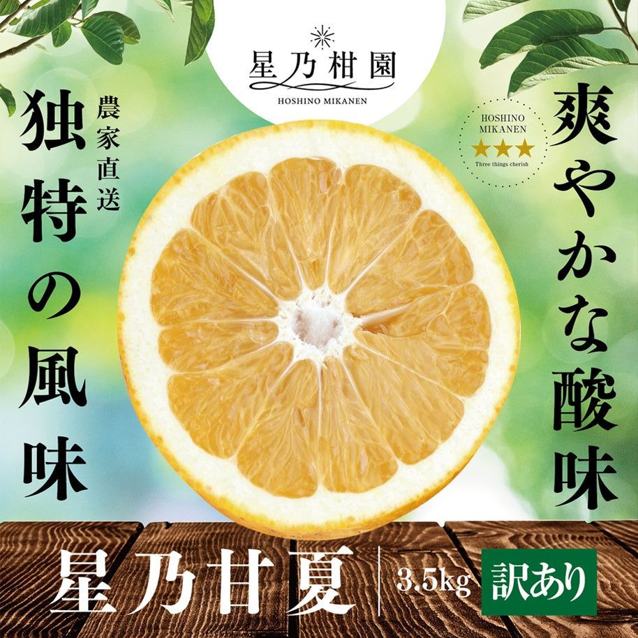 星乃甘夏【木成り完熟みかん/訳あり】 3.5kg