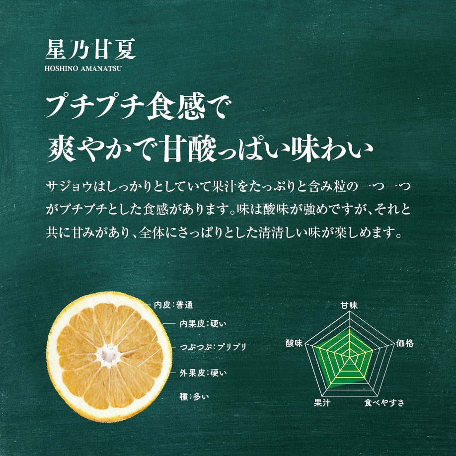 星乃甘夏【木成り完熟みかん/訳あり】 3.5kg