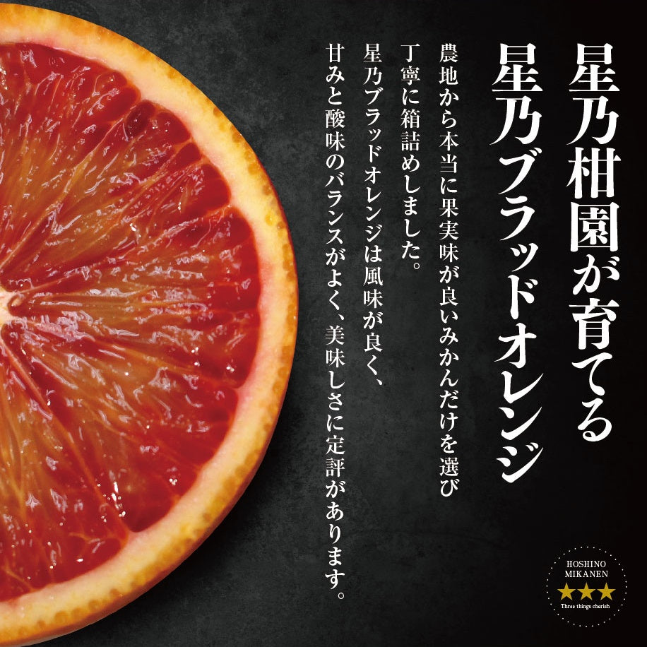 星乃ブラッドオレンジ【木成り完熟 /国産】4kg