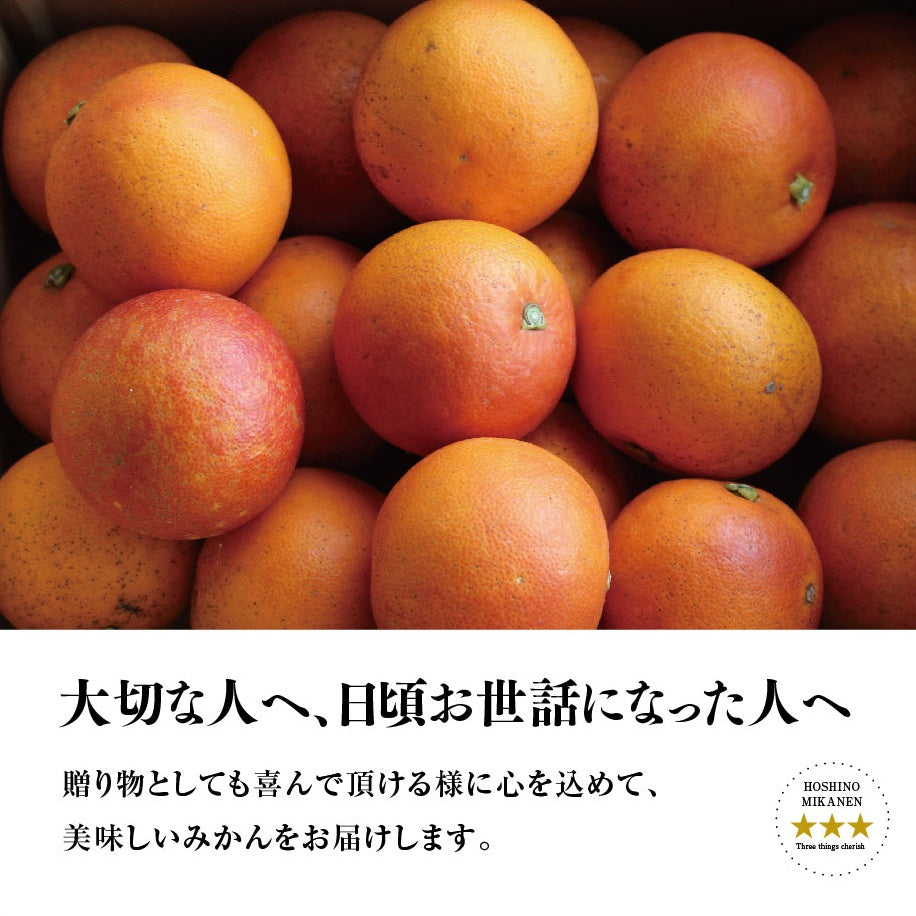 星乃ブラッドオレンジ【木成り完熟 /国産】4kg