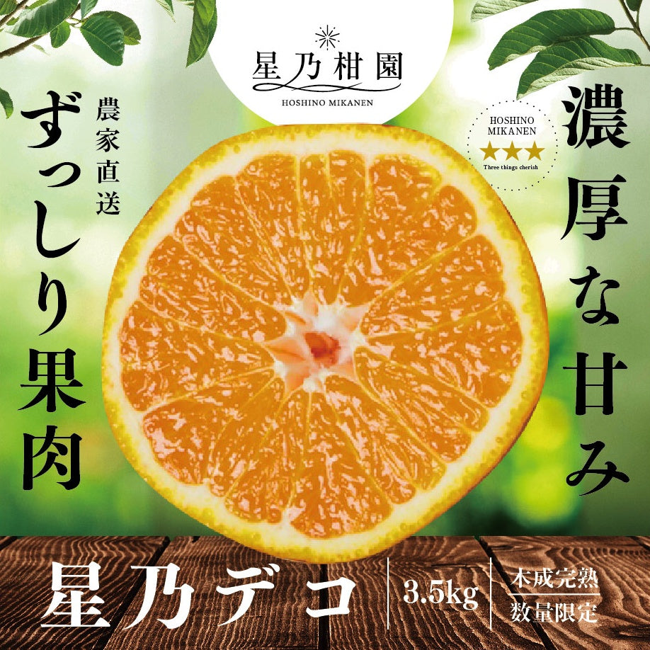 星乃デコ【木成り完熟みかん/不知火】3.5kg
