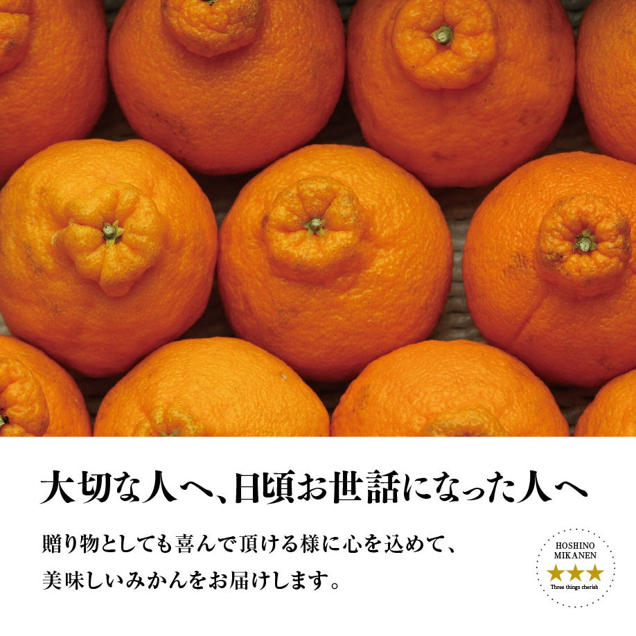 星乃デコ【木成り完熟みかん/不知火】3.5kg