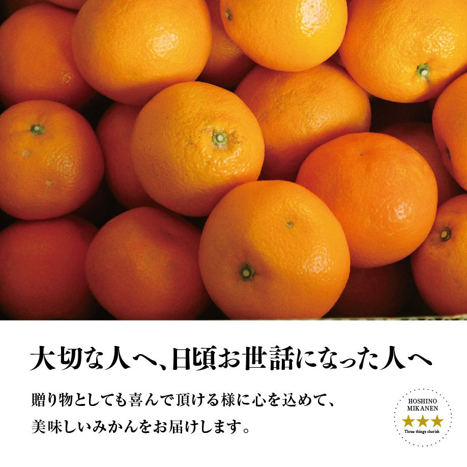 星乃伊予柑【木成り完熟みかん/サイズ混合】3.5kg