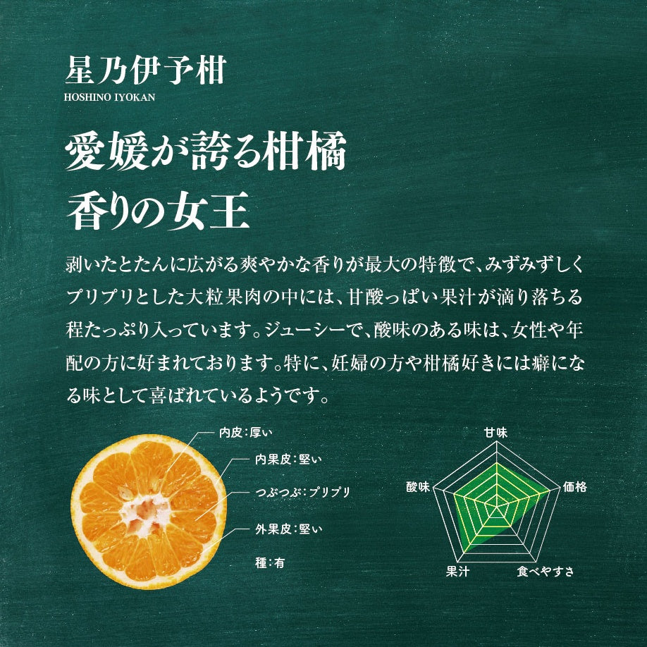 星乃伊予柑【木成り完熟みかん/サイズ混合】3.5kg