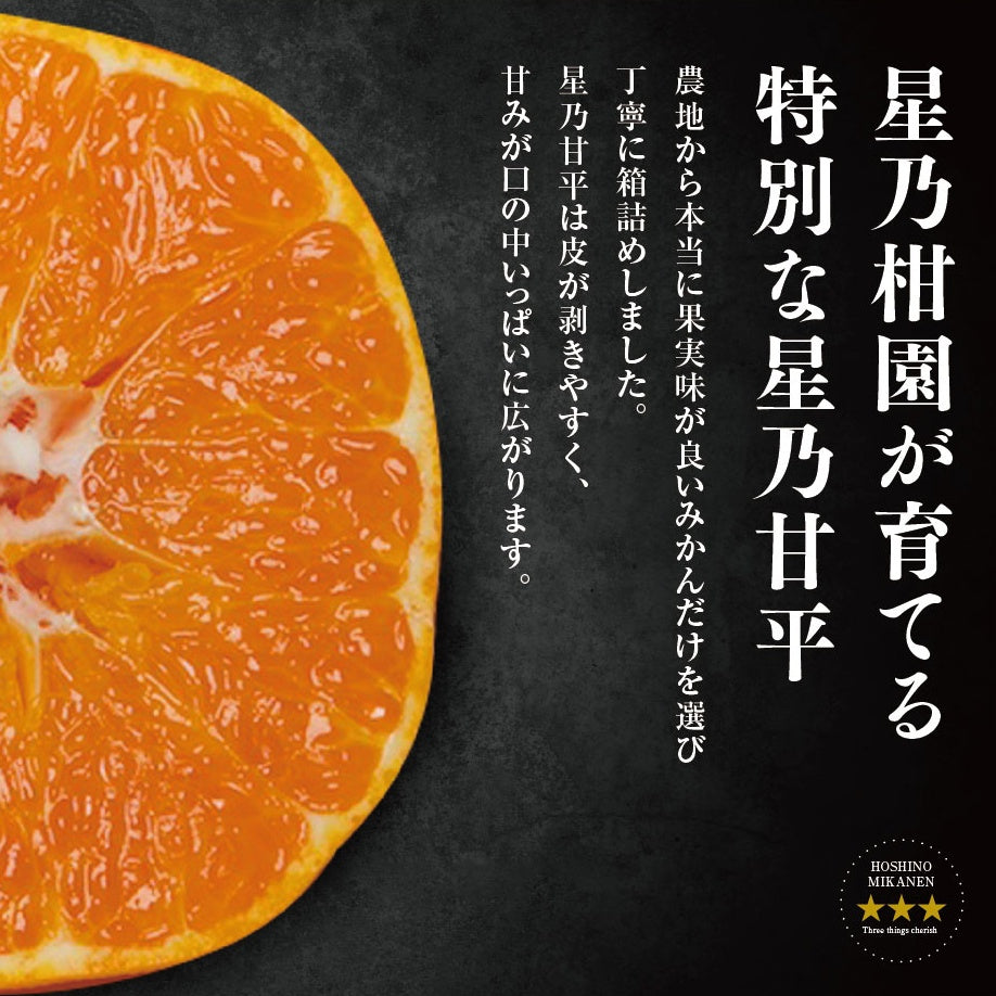 星乃甘平【木成り完熟みかん/極甘】3.5kg