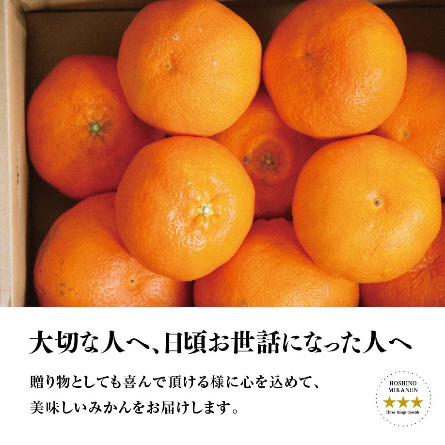 星乃甘平【木成り完熟みかん/極甘】3.5kg