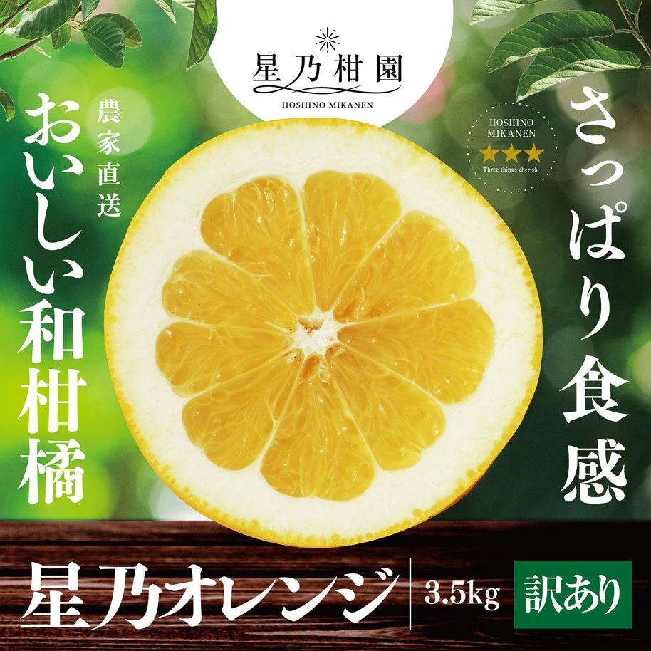 星乃オレンジ【農家直送/訳あり】3.5kg