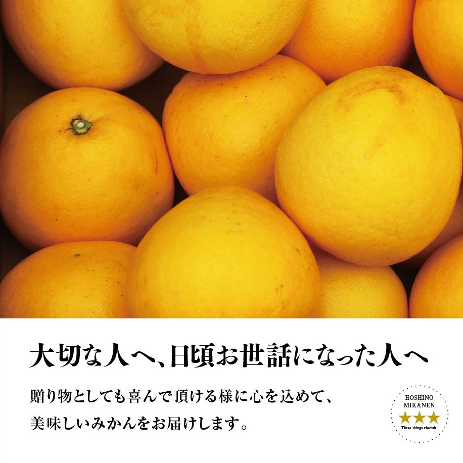 星乃オレンジ【農家直送/訳あり】3.5kg