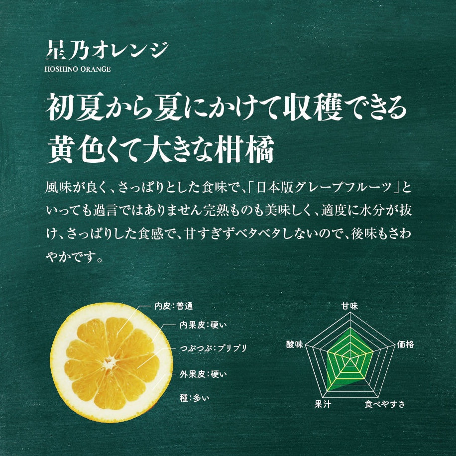 星乃オレンジ【農家直送/訳あり】3.5kg