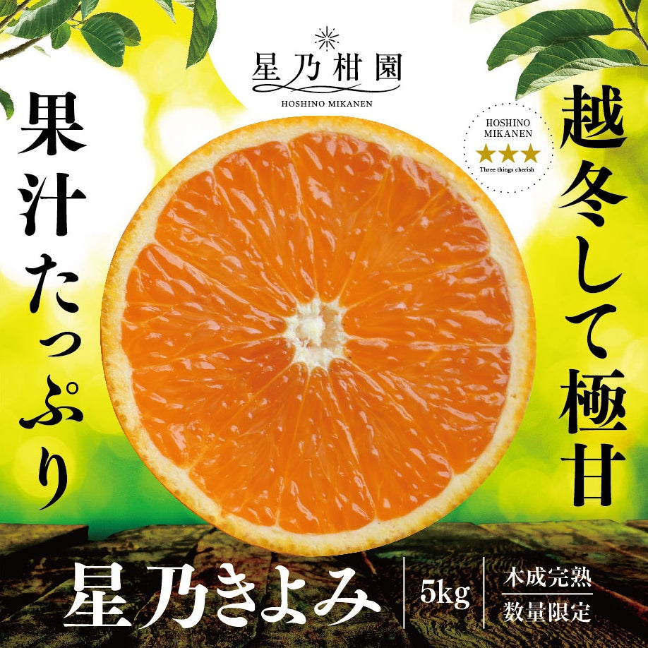 星乃きよみ【木成り完熟みかん/極甘】5kg