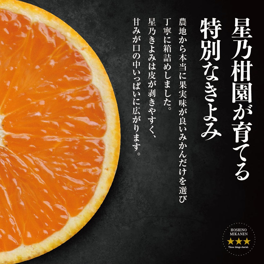 星乃きよみ【木成り完熟みかん/極甘】5kg