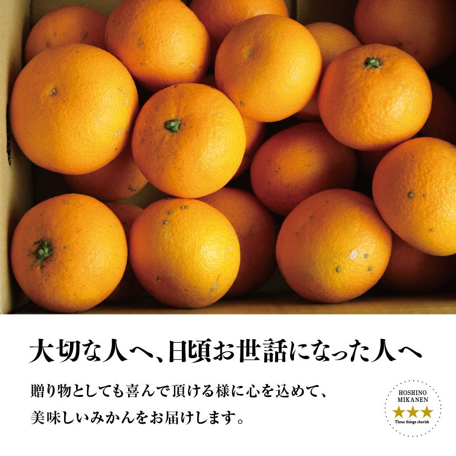 星乃きよみ【木成り完熟みかん/極甘】5kg