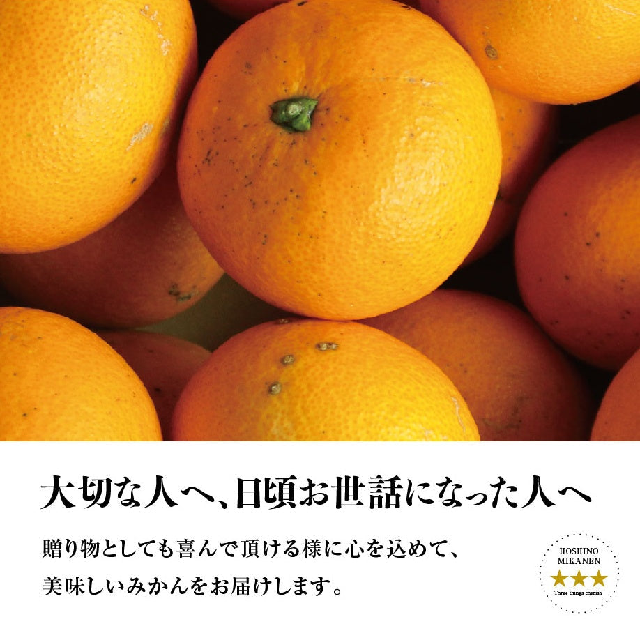 星乃きよみ【木成り完熟みかん/訳あり】 3kg