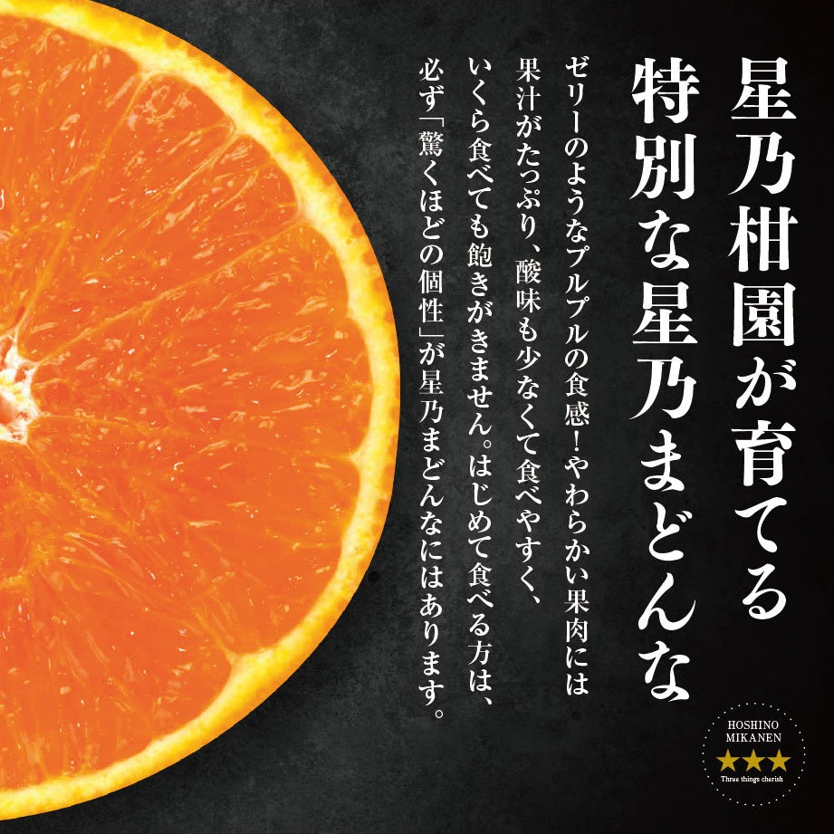星乃まどんな【木成り熟成みかん/サイズ混合/訳あり】 5kg