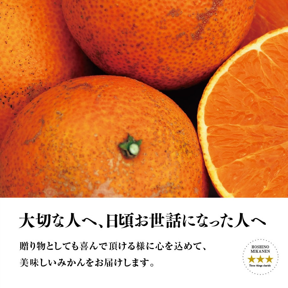星乃まどんな【木成り熟成みかん/サイズ混合/訳あり】 5kg
