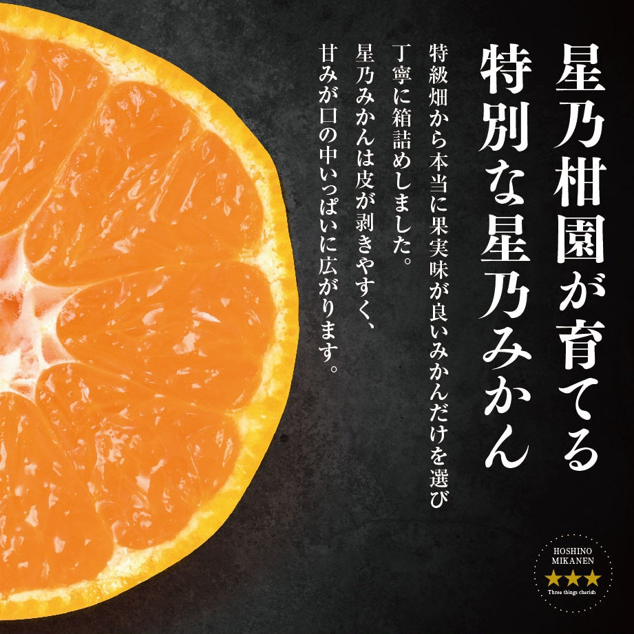 星乃みかん【木成り完熟/極上小玉】 3kg