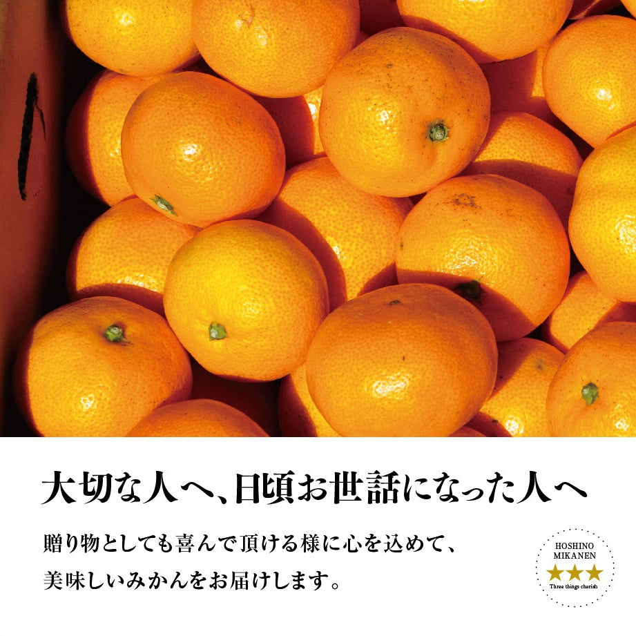 星乃みかん【木成り完熟/極上小玉】 3kg