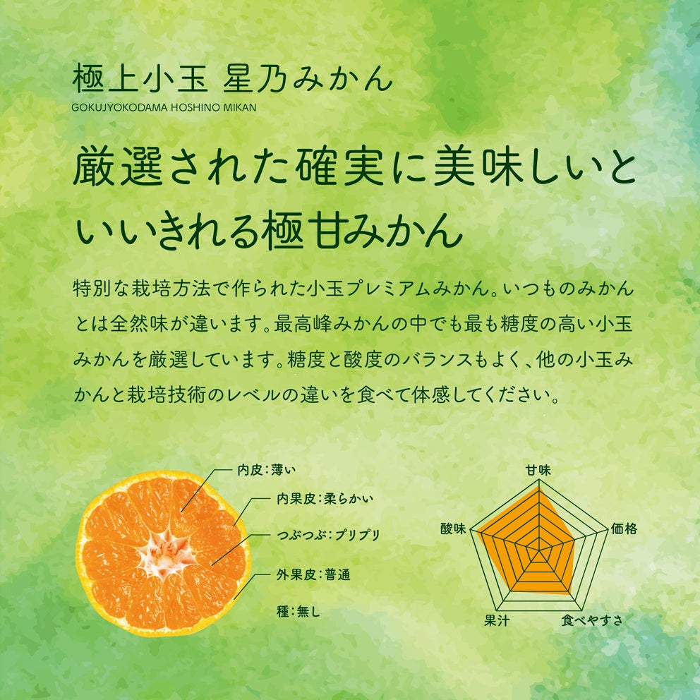 星乃みかん【木成り完熟/極上小玉】 3kg
