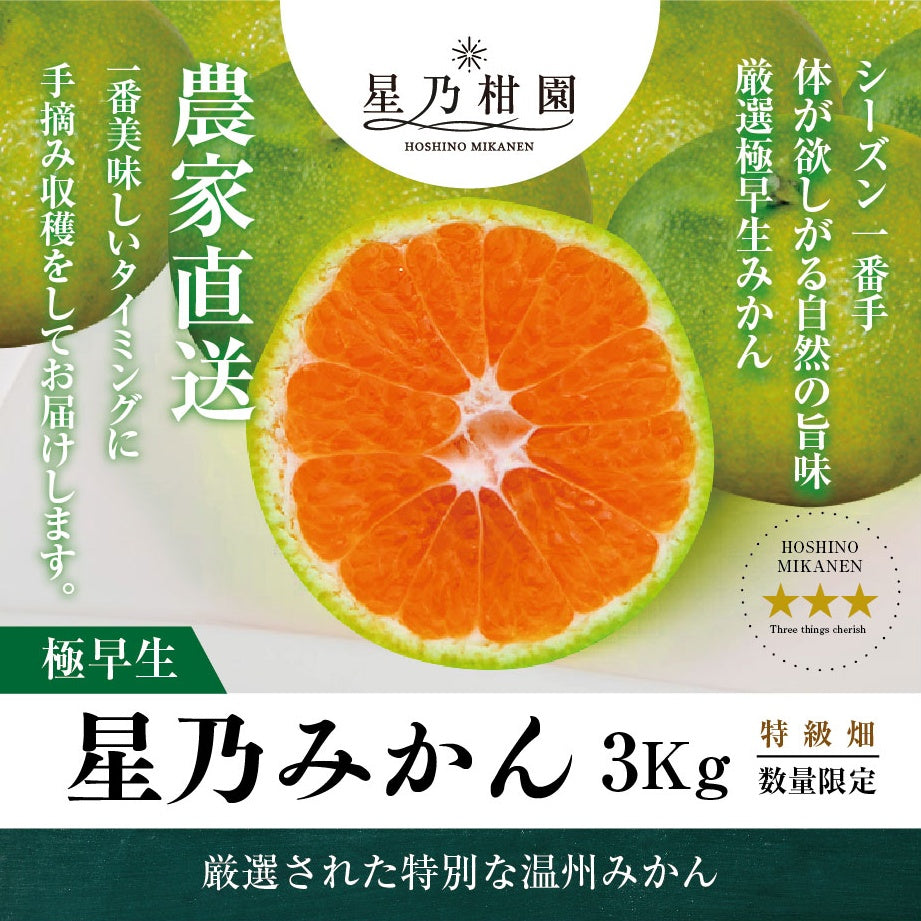 星乃みかん【農家直送/極早生】 3kg