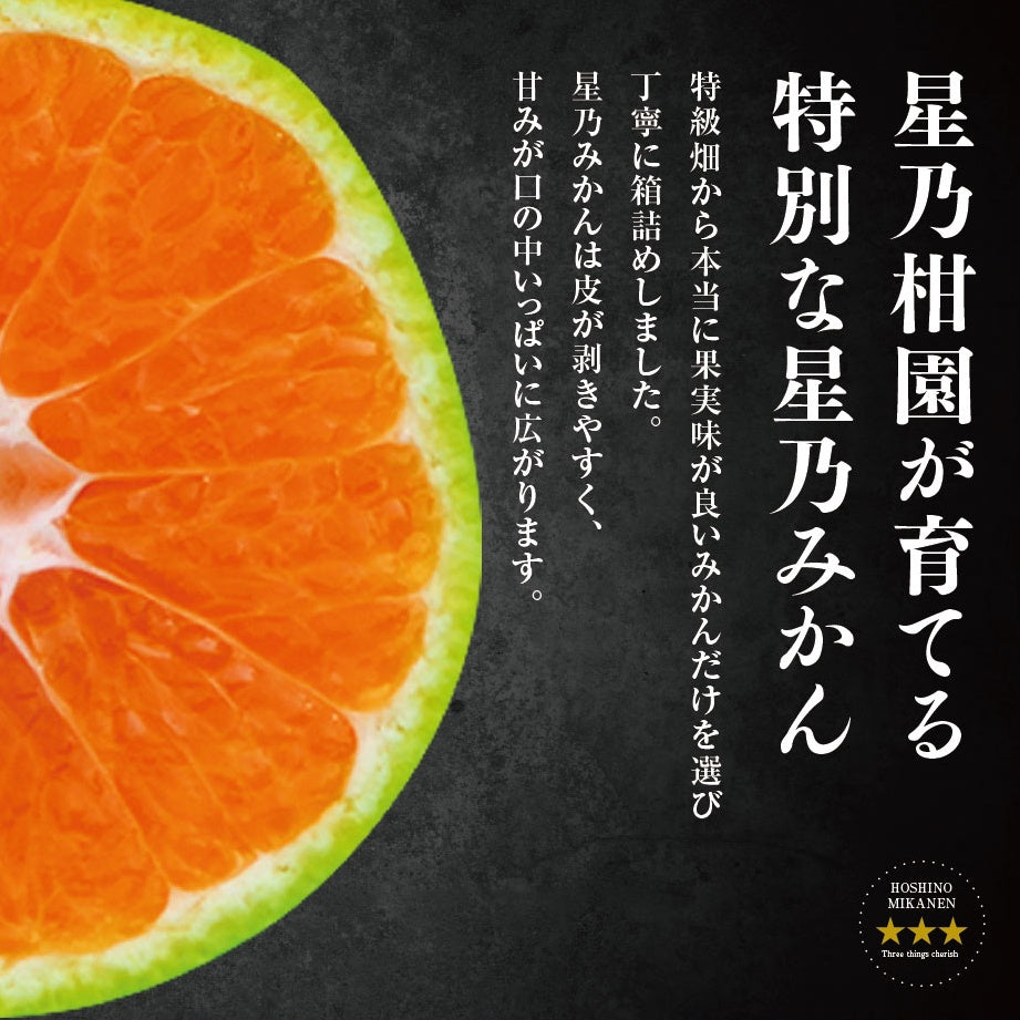 星乃みかん【農家直送/極早生】5kg