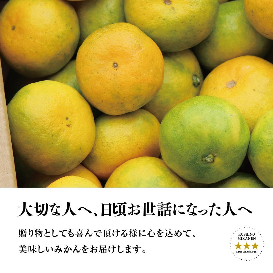 星乃みかん【農家直送/極早生】5kg