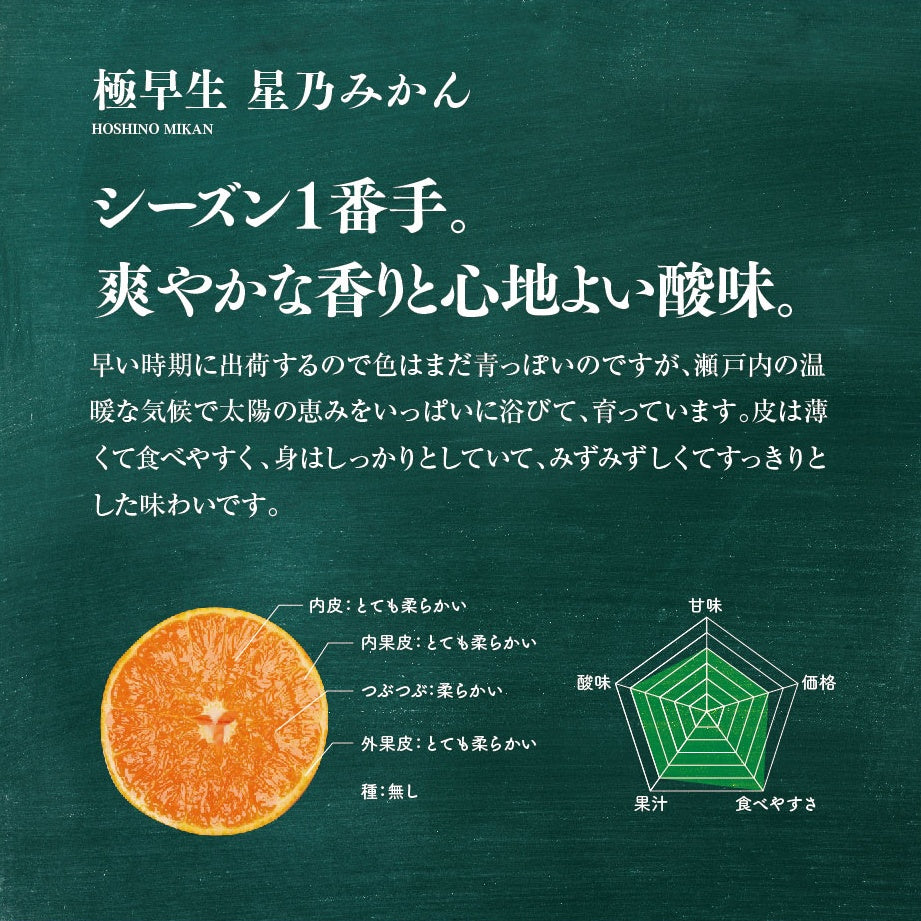 星乃みかん【農家直送/極早生】5kg