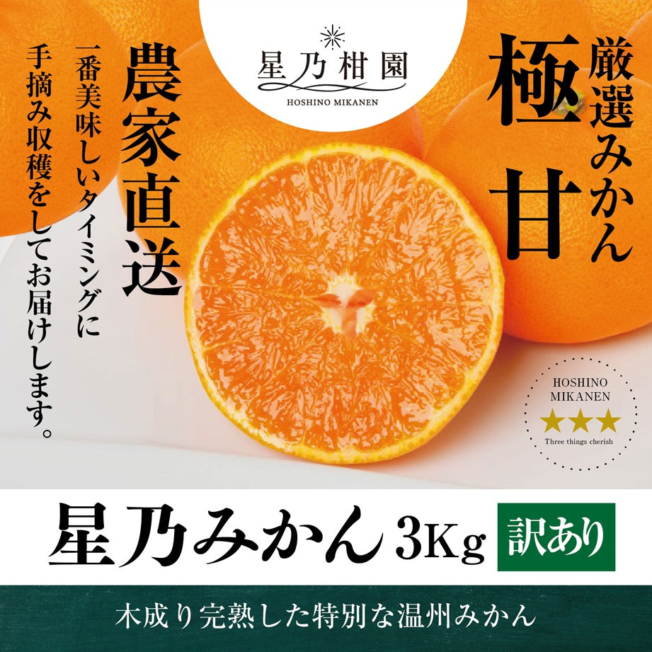 星乃みかん【木成り完熟/温州みかん/訳あり】 3kg