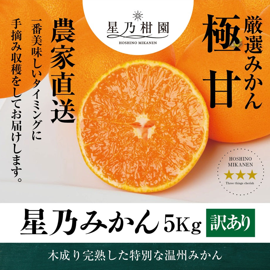 星乃みかん【木成り完熟/温州みかん/訳あり】 5kg