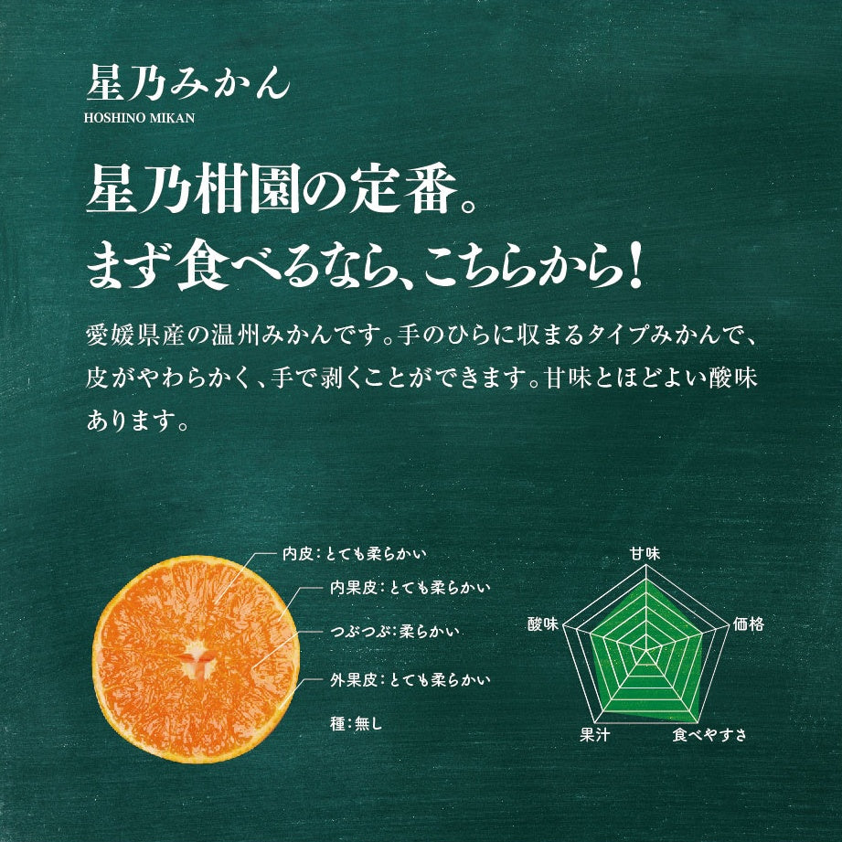 星乃みかん【木成り完熟/温州みかん/訳あり】 5kg