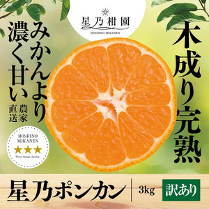 星乃ポンカン【木成り熟成みかん/訳あり】3kg