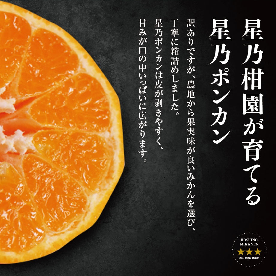 星乃ポンカン【木成り熟成みかん/訳あり】3kg