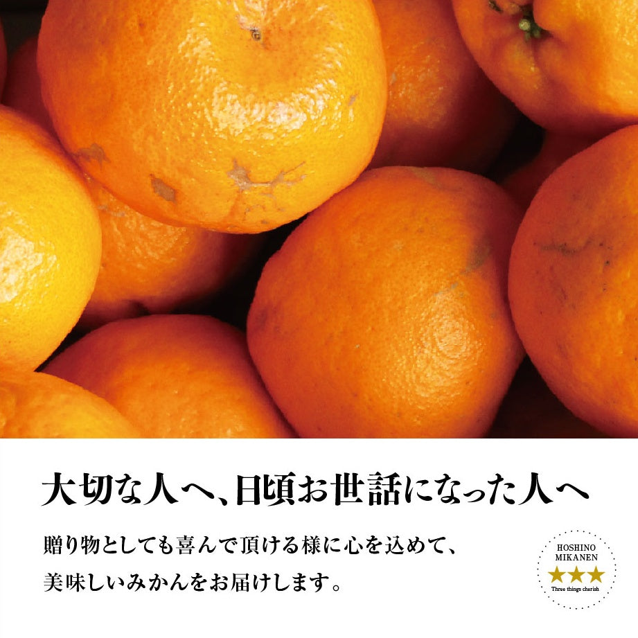 星乃ポンカン【木成り熟成みかん/訳あり】3kg