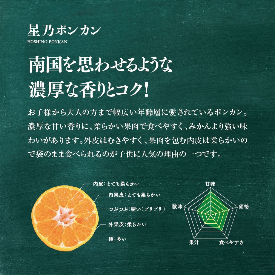 星乃ポンカン【木成り熟成みかん/訳あり】3kg