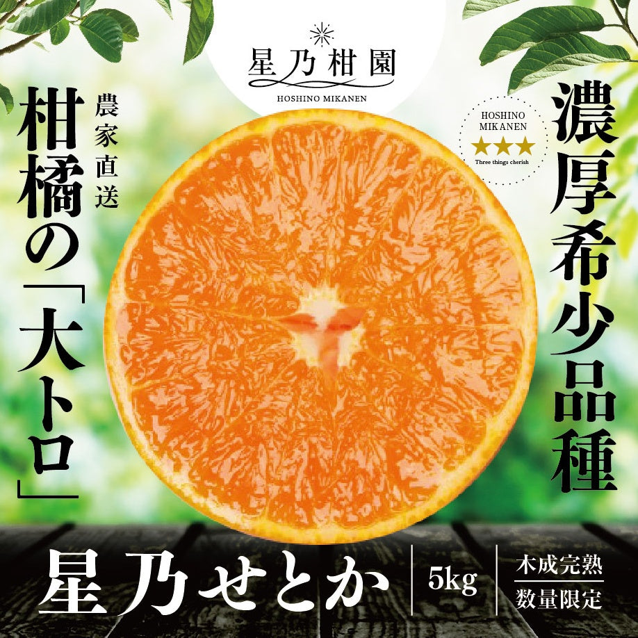 星乃せとか【木成り完熟みかん/サイズ混合】5kg