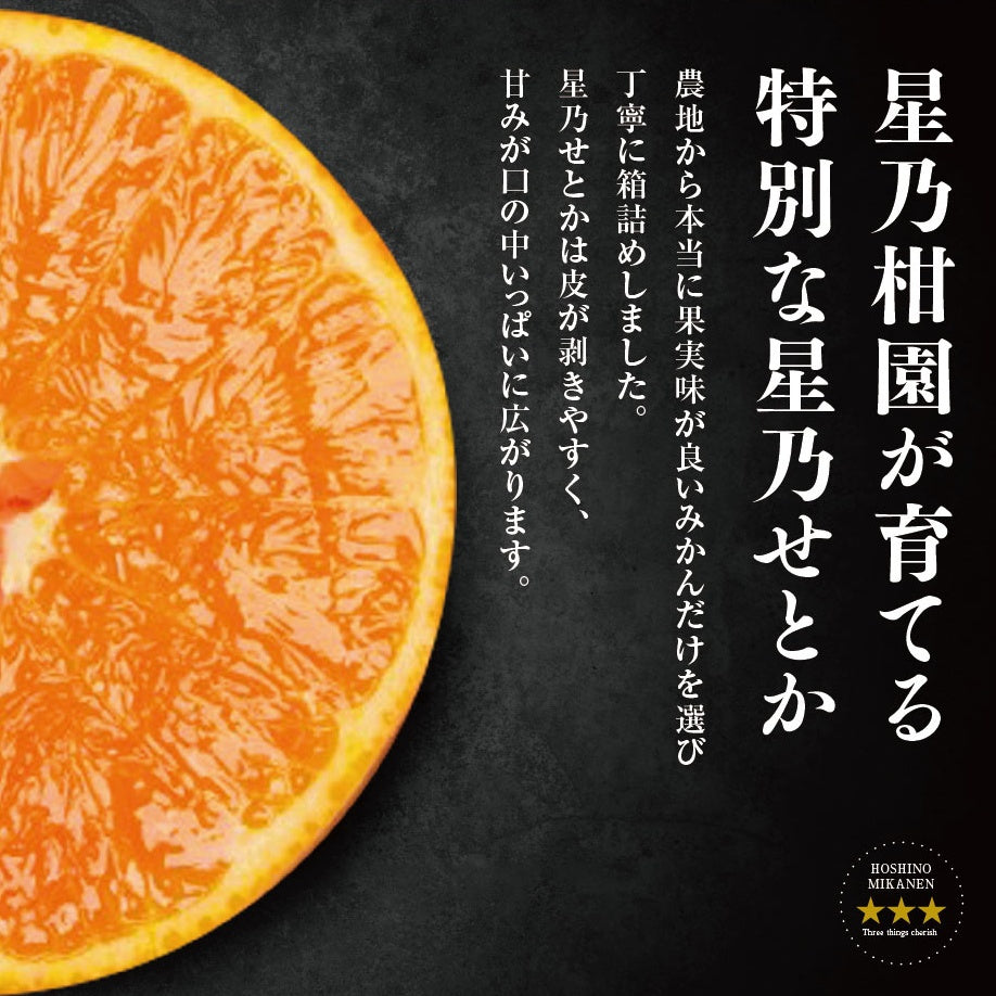 星乃せとか【木成り完熟みかん/サイズ混合】5kg