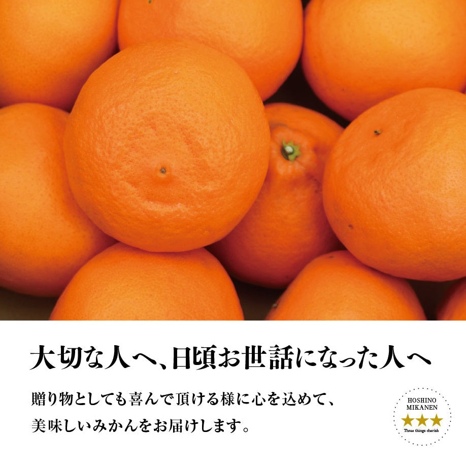 星乃せとか【木成り完熟みかん/サイズ混合】5kg