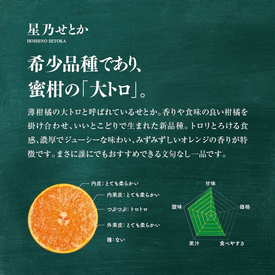 星乃せとか【木成り完熟みかん/サイズ混合】5kg