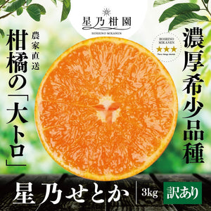 星乃せとか【木成り完熟みかん/サイズ混合/訳あり】3kg