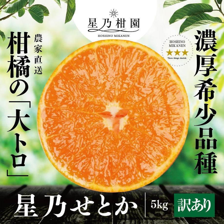 星乃せとか【木成り完熟みかん/サイズ混合/訳あり】 5kg