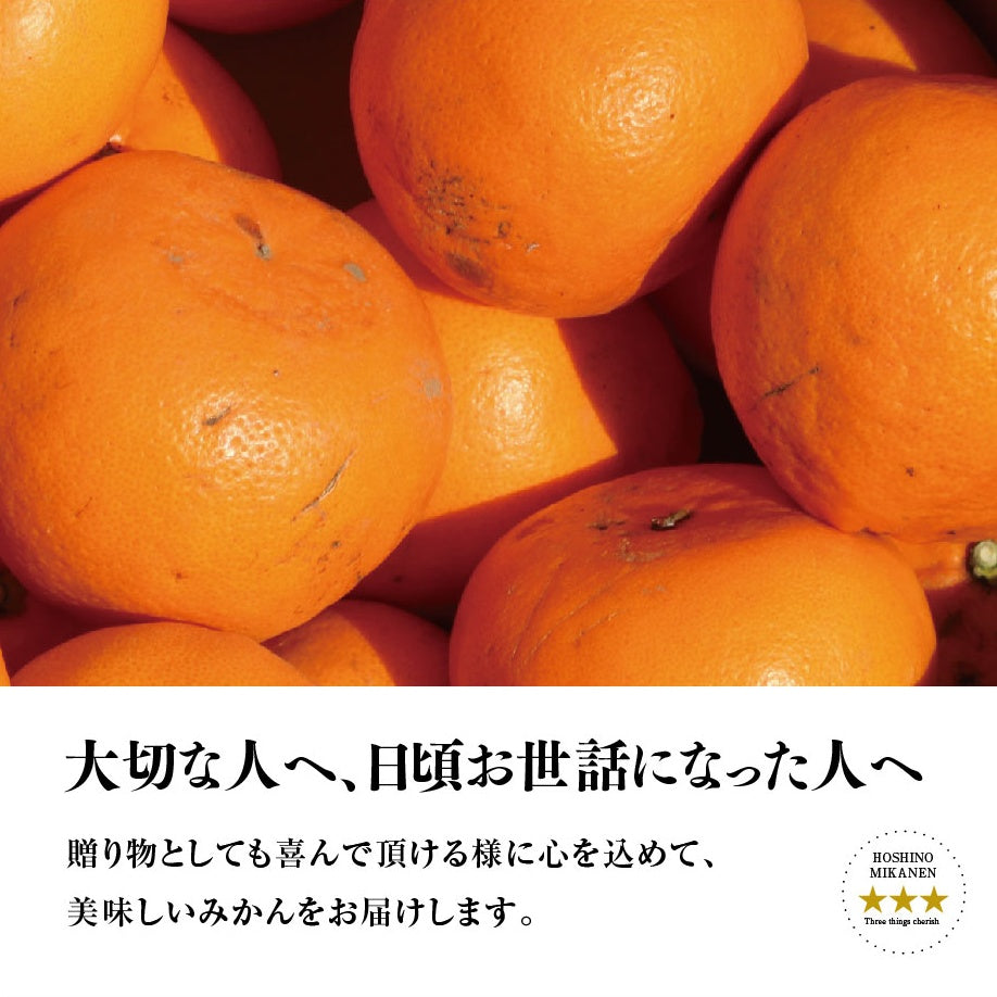 星乃せとか【木成り完熟みかん/サイズ混合/訳あり】3kg