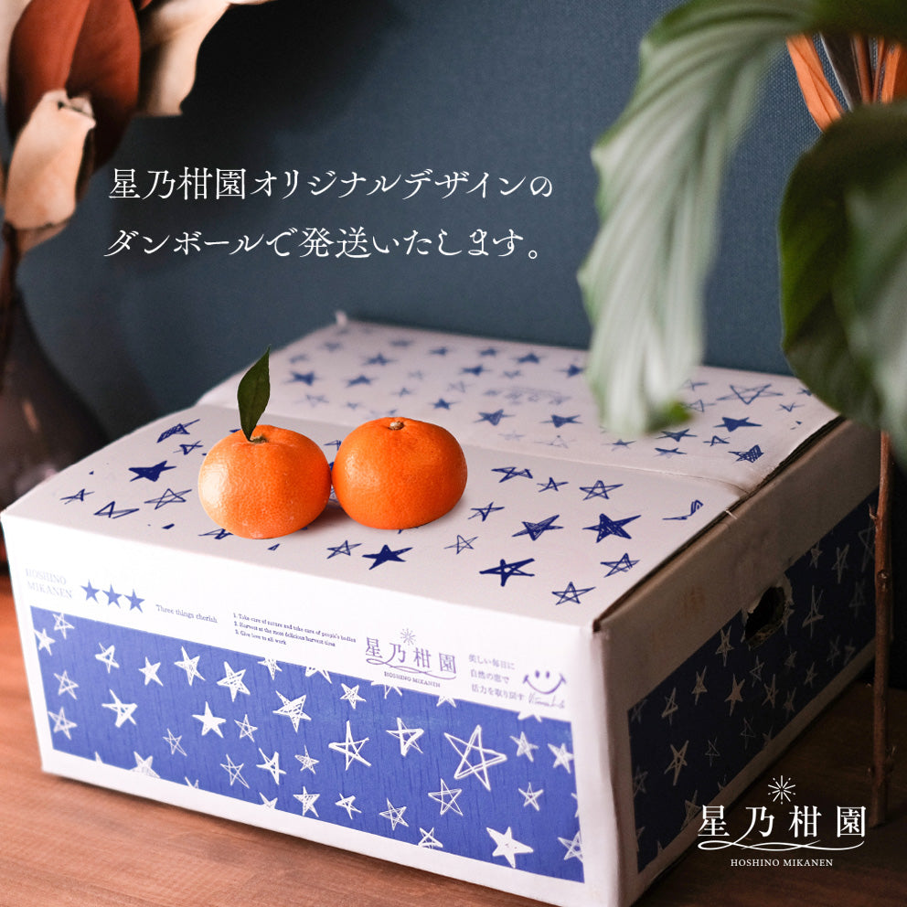 星乃オレンジ【農家直送/さっぱり甘み】3.5kg