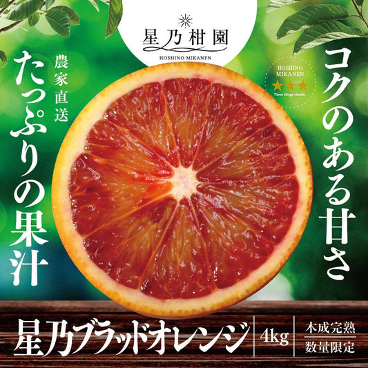 星乃ブラッドオレンジ【木成り完熟 /国産】4kg