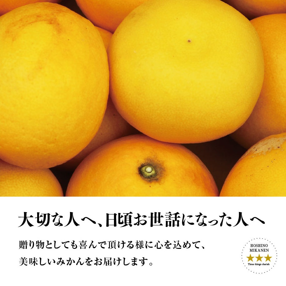 星乃オレンジ【農家直送/さっぱり甘み】3.5kg